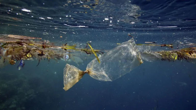 Plastic in the ocean