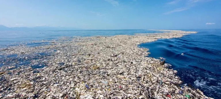 Plastic pollution in the ocean